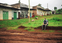 Mount kenya - Chogoria route