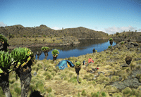 Mount kenya - Chogoria route (Hall Tarns, Mintos hut) Táborhely 4300 méteren