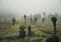 Mount kenya - Chogoria route (Mintos hut - Austrian hut)