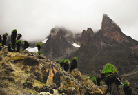 Mount kenya, Naro Moru route, Teleki vlgy